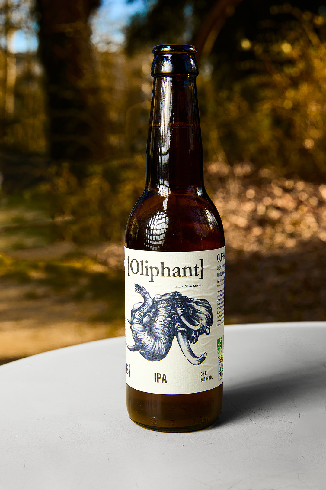 photographie-brasserie-Paris